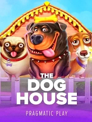 The Dog House at A Big Candy